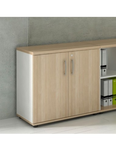 Rangement à portes battantes - A2104