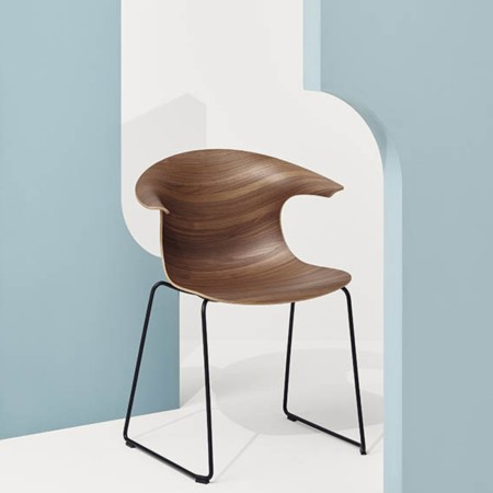 Chaise coque bois design courbé et tendance sur fond bleu - Loop 3D Wood 