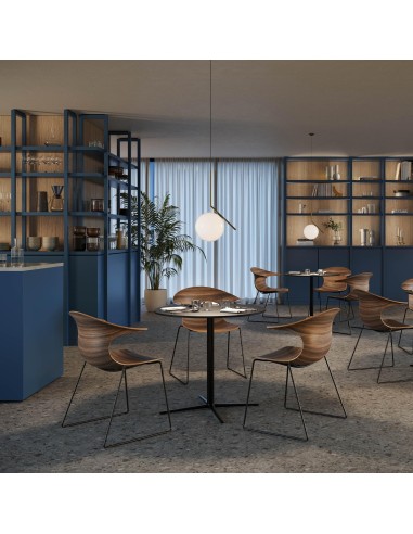 Chaises design en bois courbé et pieds en acier dans une salle de réunion