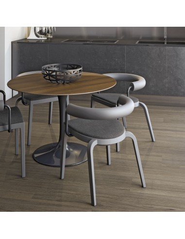 Chaise salle à manger ou réunion BI 20s design moderne