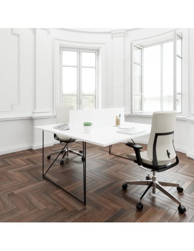 Bureau double bench avec séparation travail efficace - style minimaliste blanc AIR à Zürich.