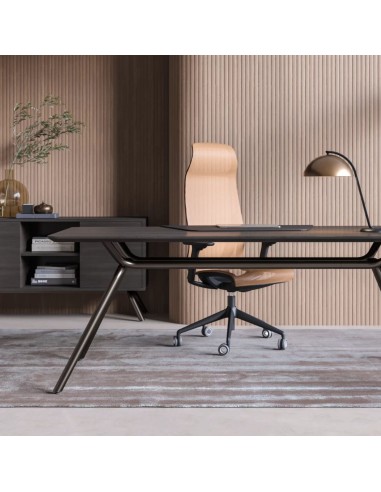 D-CHAIR Direction sable dans bureau design avec accoudoirs réglables