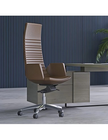 Fauteuil de direction Nort Cape dans un bureau