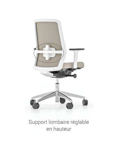 Chaise avec support lombaire réglable en hauteur