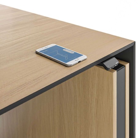 Contrôle bluetooth du bureau de direction assis debout MOTION