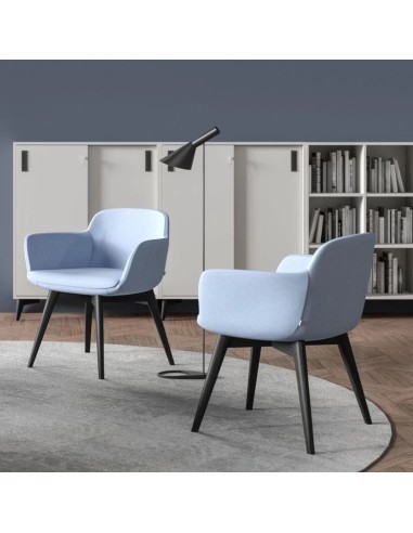 Chaises Danae bleues dans un intérieur cosy style bibliothèque – Danae