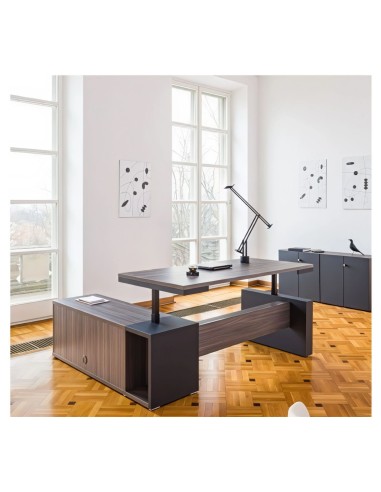 Bureau de direction assis-debout design dans pièce lumineuse