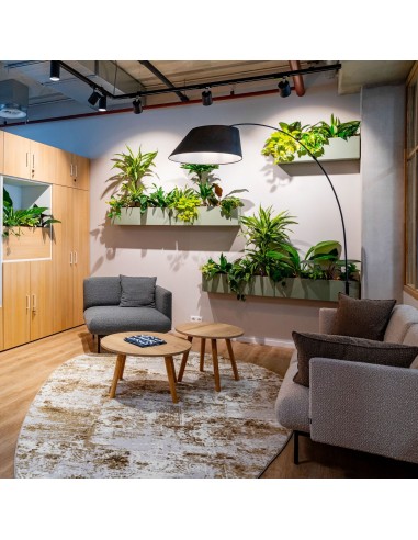 Coin détente avec banquette acoustique Fora et plantes murales - Fora