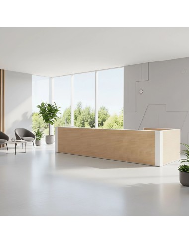 Meuble de réception dans grand espace lumineux et chaleureux