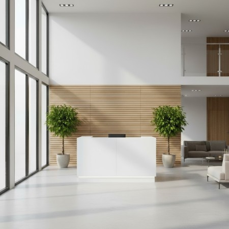 Meuble de réception blanc dans décor lumineux avec arbustre