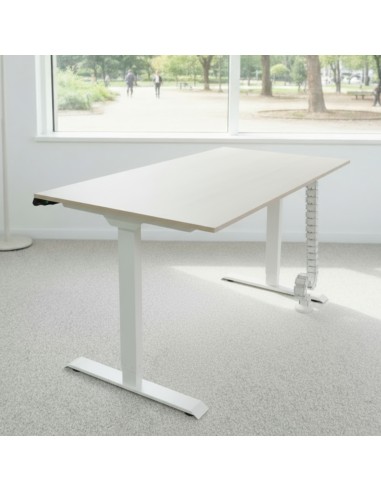 Bureau assis-debout Start-up pour entreprise, plateau 180x80 cm acacia bois clair