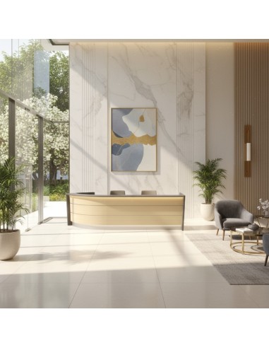 Meuble de réception dans pièce lumineuse et accueillante