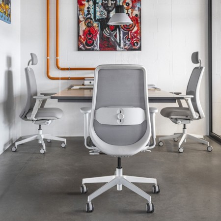 Chaise de bureau ergonomique grise avec soutien lombaire réglable - Belt 2