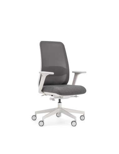 Chaise de bureau ergonomique grise avec soutien lombaire réglable - Belt