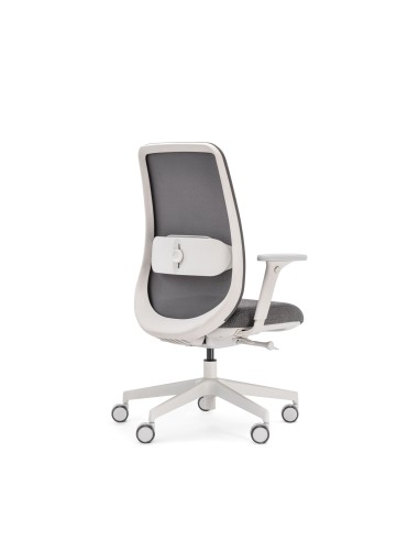 Chaise ergonomique professionnelle avec dossier haut et accoudoirs réglables Belt BE 102 dos
