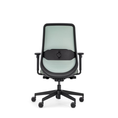 Dos de la chaise Belt de travail en noir - ergonomique et réglable confort