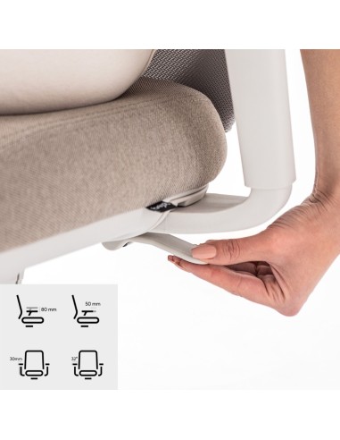 Mécanisme de maintien du dos réglable sur la chaise de bureau Belt BE 102 