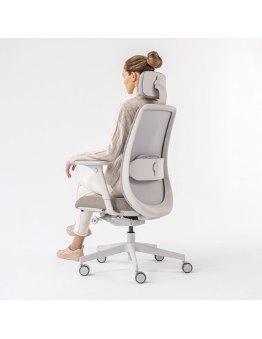 Chaise de bureau ergonomique Belt BE 102 Grey avec dossier en maille respirante