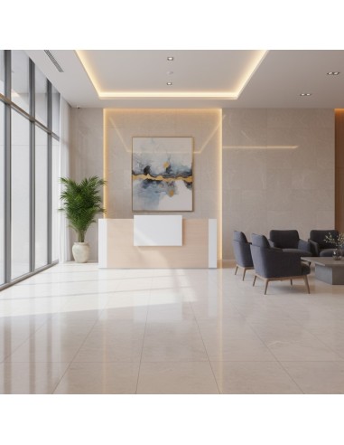 Salle d'attente avec meuble de réception, fauteuil et table basse