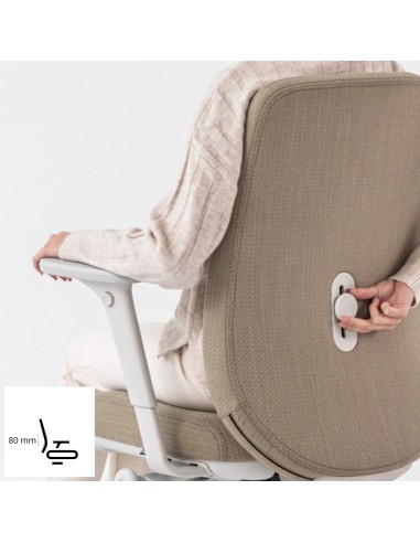 Soutien lombaire de la chaise ergonomique de bureau BELT grise régulable