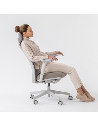 Chaise de travail ergonomique Belt BE 1T3 avec dos réglable