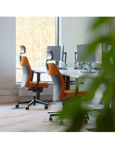 Ambiance professionnelle avec fauteuils Dual noirs et plantes vertes décoratives