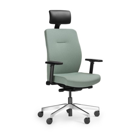 Fauteuil de bureau ergonomique élégant noir – Dual
