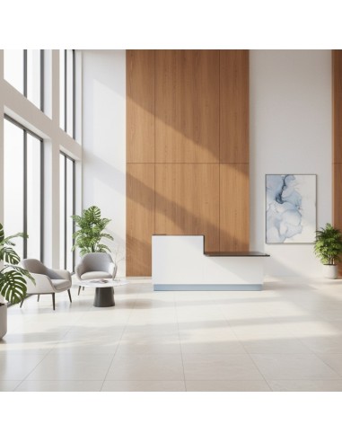 Banque d'accueil noir avec module bas et siège de travail noir et gris