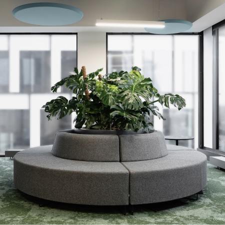 Version claire de la banquette circulaire avec éléments végétaux. - Quadra