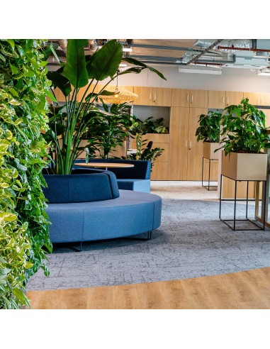 Banquette bleue circulaire avec plantes intégrées au centre. - Quadra