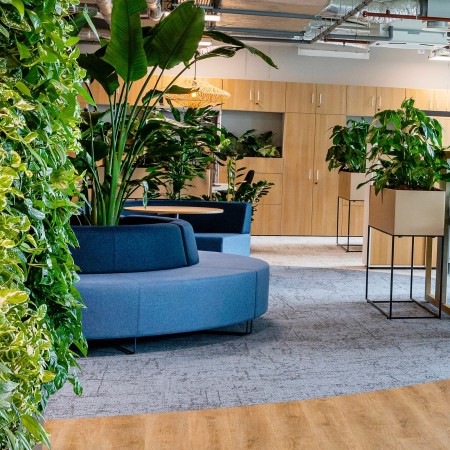 Banquette bleue circulaire avec plantes intégrées au centre. - Quadra