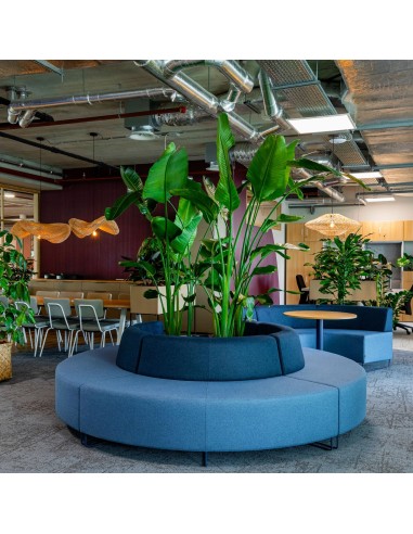 Espace végétalisé avec banquette circulaire bleue autour d’un jardin central. - Quadra
