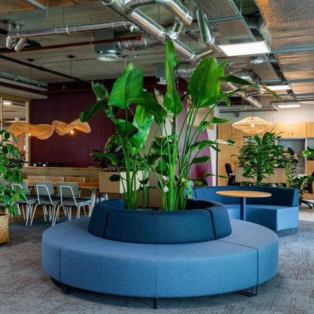 Espace végétalisé avec banquette circulaire bleue autour d’un jardin central. - Quadra