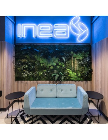 Espace d’accueil coloré avec canapé bleu clair devant un mur lumineux. - U Floe