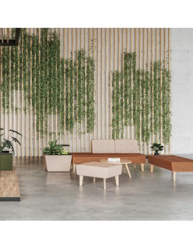 Espace d’accueil lumineux avec banquettes colorées et plantes suspendues. - U Floe