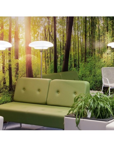 Fauteuil vert clair dans un espace naturel et lumineux. - U Floe