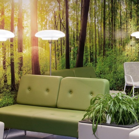 Fauteuil vert clair dans un espace naturel et lumineux. - U Floe