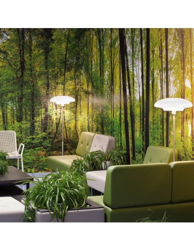 Coin détente vert forêt avec grandes plantes décoratives. - U Floe