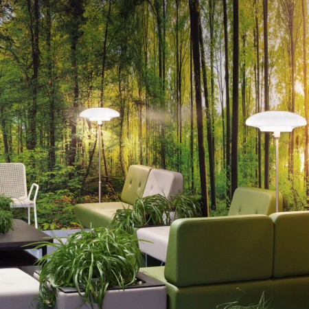 Coin détente vert forêt avec grandes plantes décoratives. - U Floe