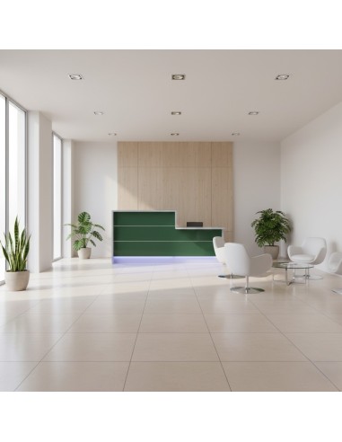 Espace d'accueil avec meuble de réception façade verte, fauteuil et table basse