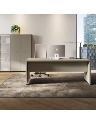 Bureau exécutif de direction Delta – Design professionnel moderne