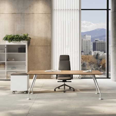 Bureau de direction luxe design Enosi 2