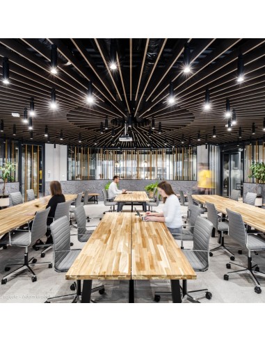 Espace de coworking avec Chaises Orte pour salle de conférence exigeante suisse