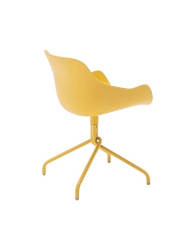 Baltic basic pieds étoile