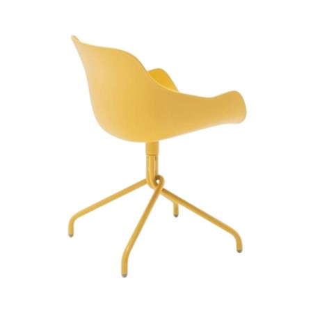 Baltic basic pieds étoile