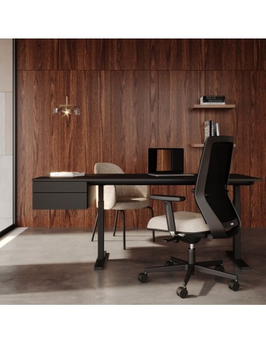 Bureau professionnel avec caisson intégré - Tables:hr