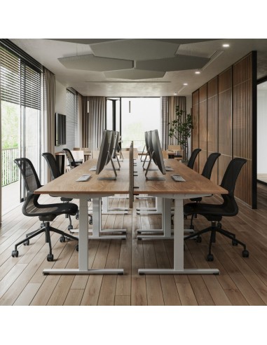 Grande table de réunion avec bureaux réglables - Tables:hr