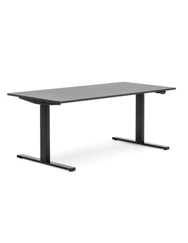 Bureau assis debout plateau rectangulaire - Tables:hr