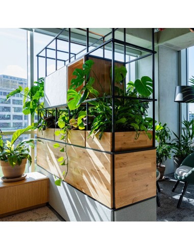 Hall d'entrée accueillant en entreprise avec étagère décorative Saar modulable avec bacs à plantes