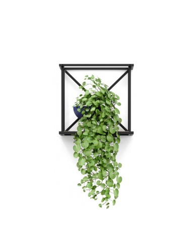 Étagère murale Saar hang SM HS 1x1 en acier thermolaqué.